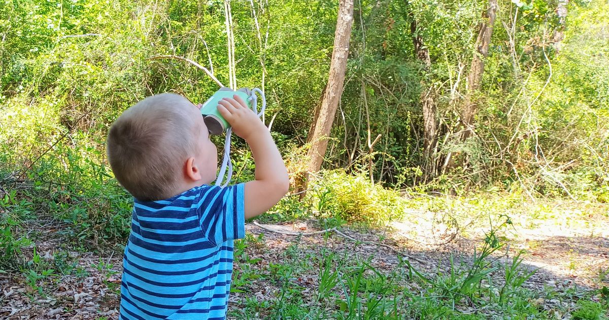 Your 3 year old will love bird watching after Bb is for Bird Lessons.