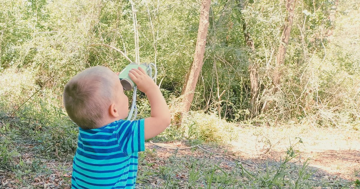 The Best Bird Activities for Preschoolers