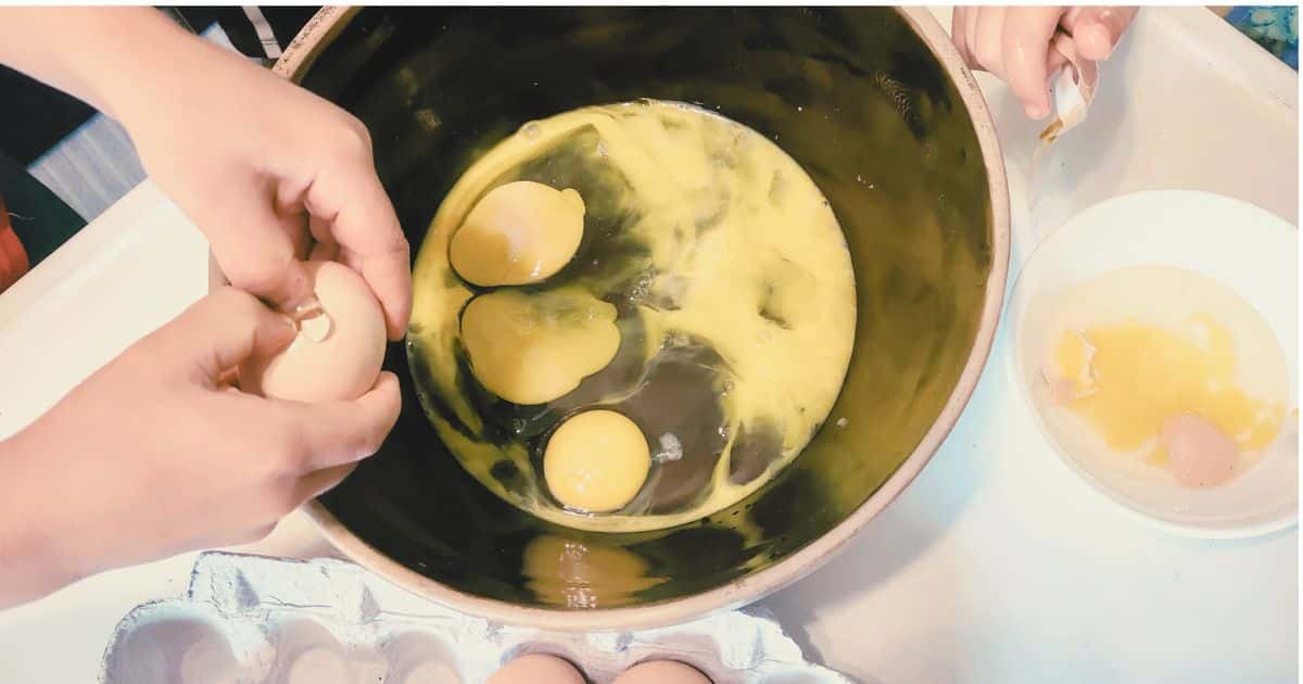 20+ Egg Activities for Kids: Fun & Educational