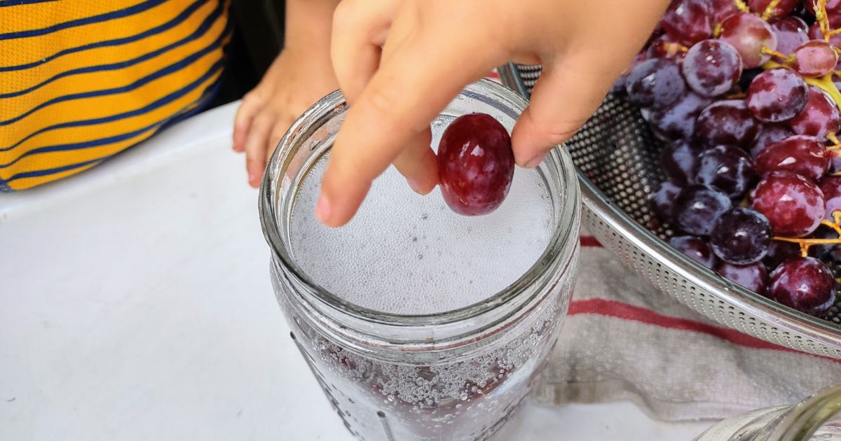 How to teach your 3-5 year old at home with Gg is for Grape.