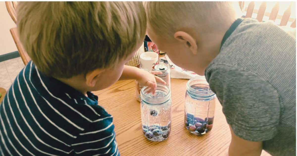 Buoyancy for Kids: A Dancing Grapes Experiment