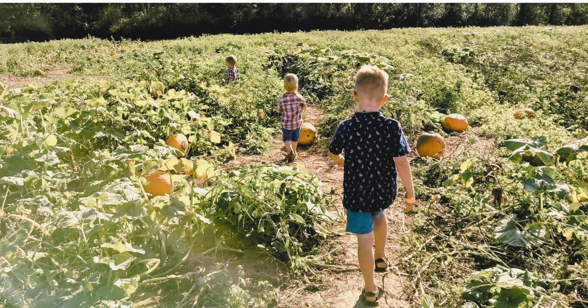 Embrace a Year Round Homeschool Schedule for Joy & Learning