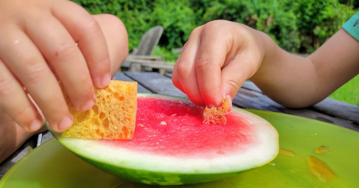 How to teach your 3-5 year old the different ways insects eat.