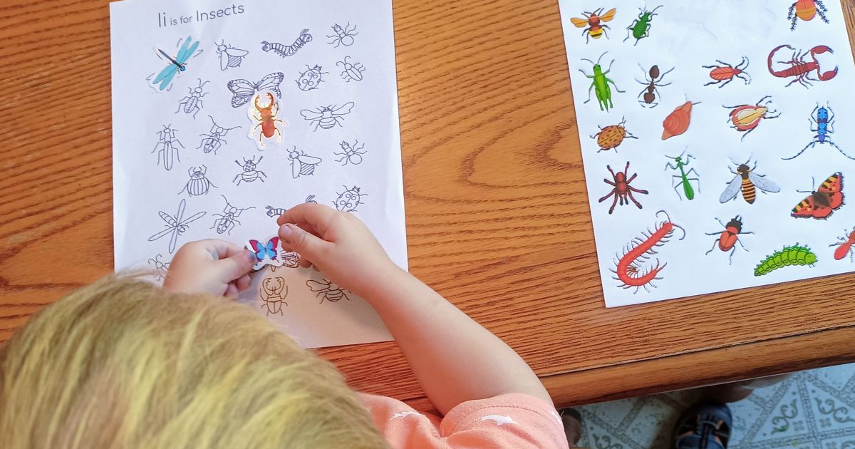 How to teach your 3-5 year old what an insect is.