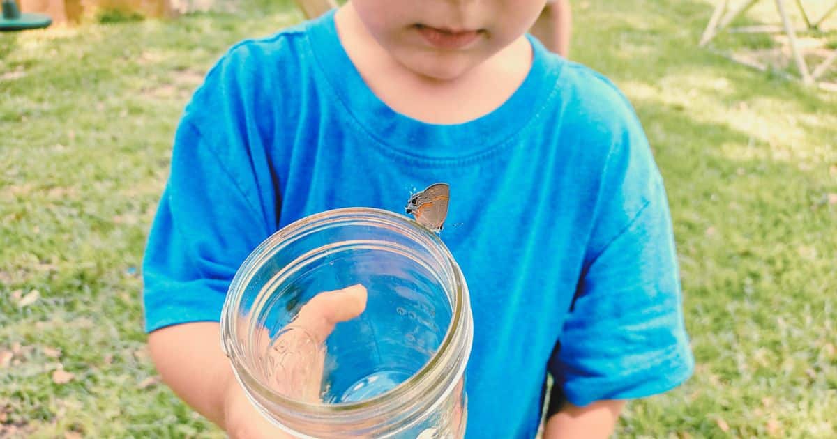 20 Fun Insect Activities for Kids to Learn While Playing