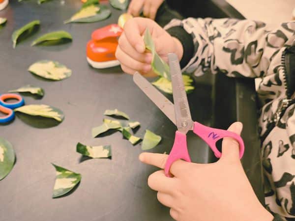 Fun Watercolor and Scissor Skills Activity for Kids