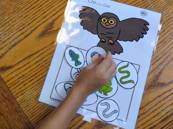 3-5 year old learns about an owl's diet in a play based learning activity. Owl facts for preschoolers, preschool owls activities, preschool owl books, creative activities for 3-5 year old's.