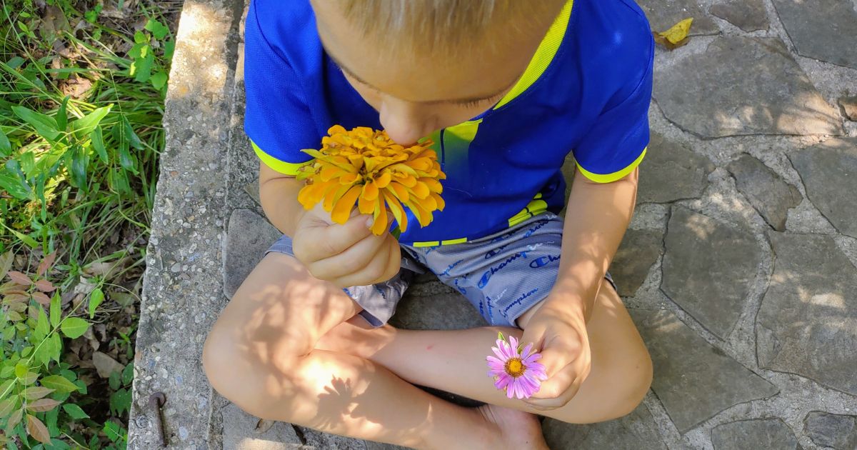 How to explore the five senses in nature with your 3-5 year old.