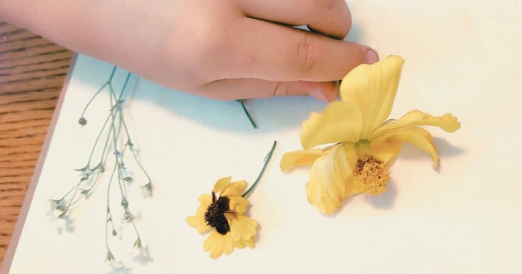 Child presses flowers. spring bucket list for the family | Things to do this spring | spring crafts | spring kid activities
