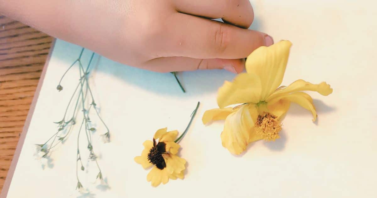 The Best Spring Bucket List for Your Family This Year