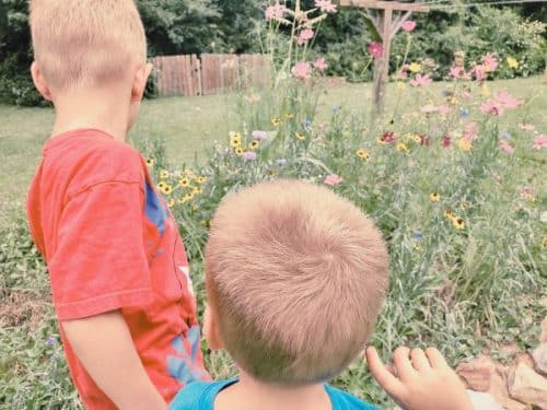 What is an Insect for Kids + 3 Free Printables