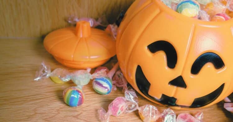 How To Teach Natural Disasters For Kids In Homeschool Playing For