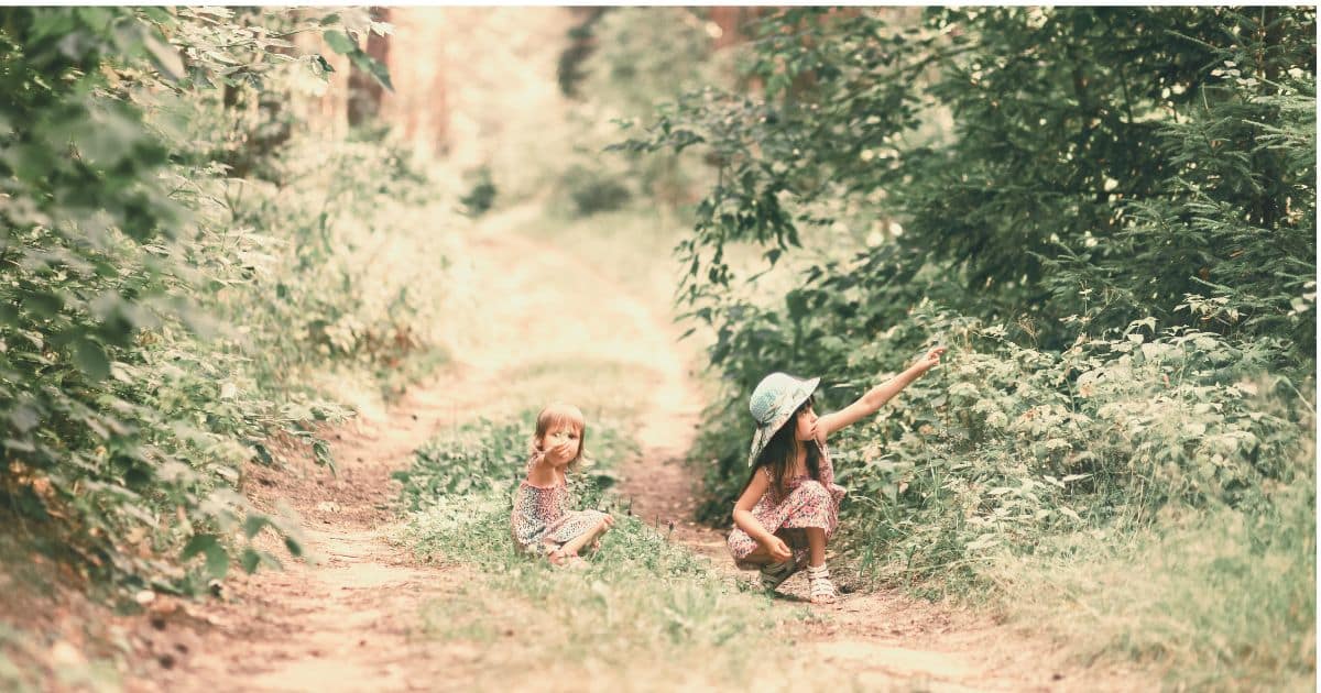 15+ Fun Poetry Activities for Kids