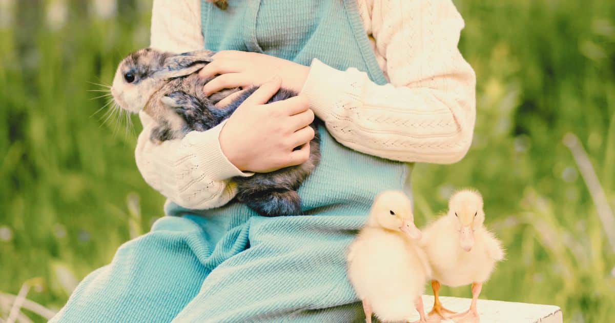 Hop into Reading: Easter Books for Kids That Inspire and Delight