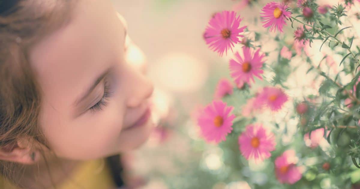 12 Poems About Spring: Beautiful Words for Kids