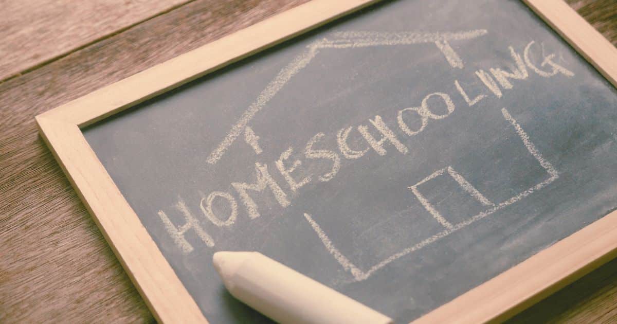 The Best Homeschool Guide: 12 Steps for a New Homeschool Mom
